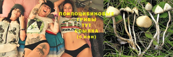 мет Абаза