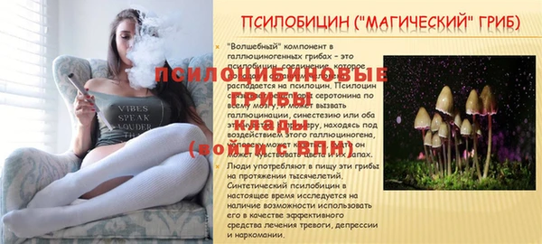 мет Абаза